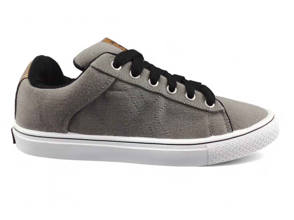 GRIS